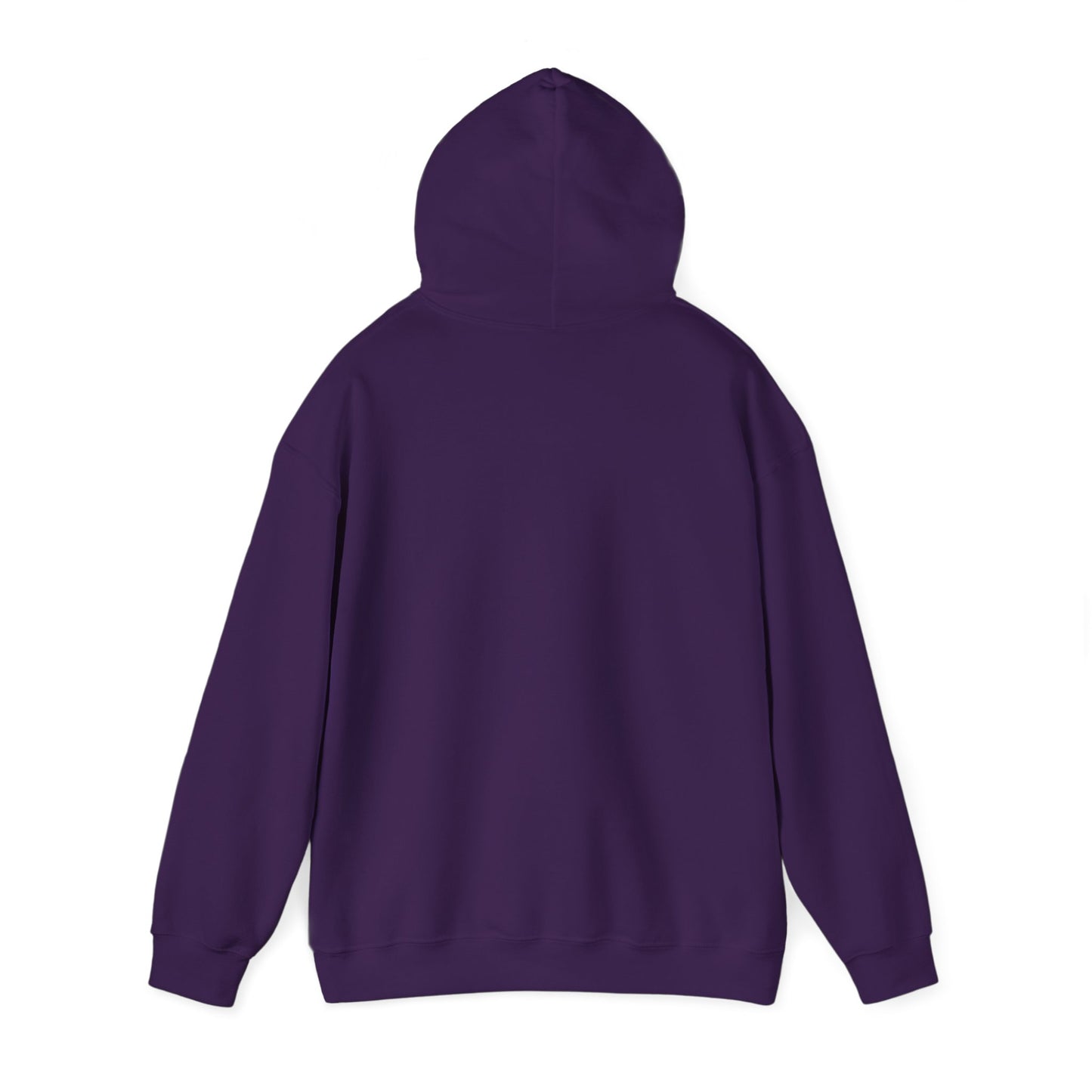 Connect with the Fountain Hooded Sweatshirt (John 4:14 - Version 1)