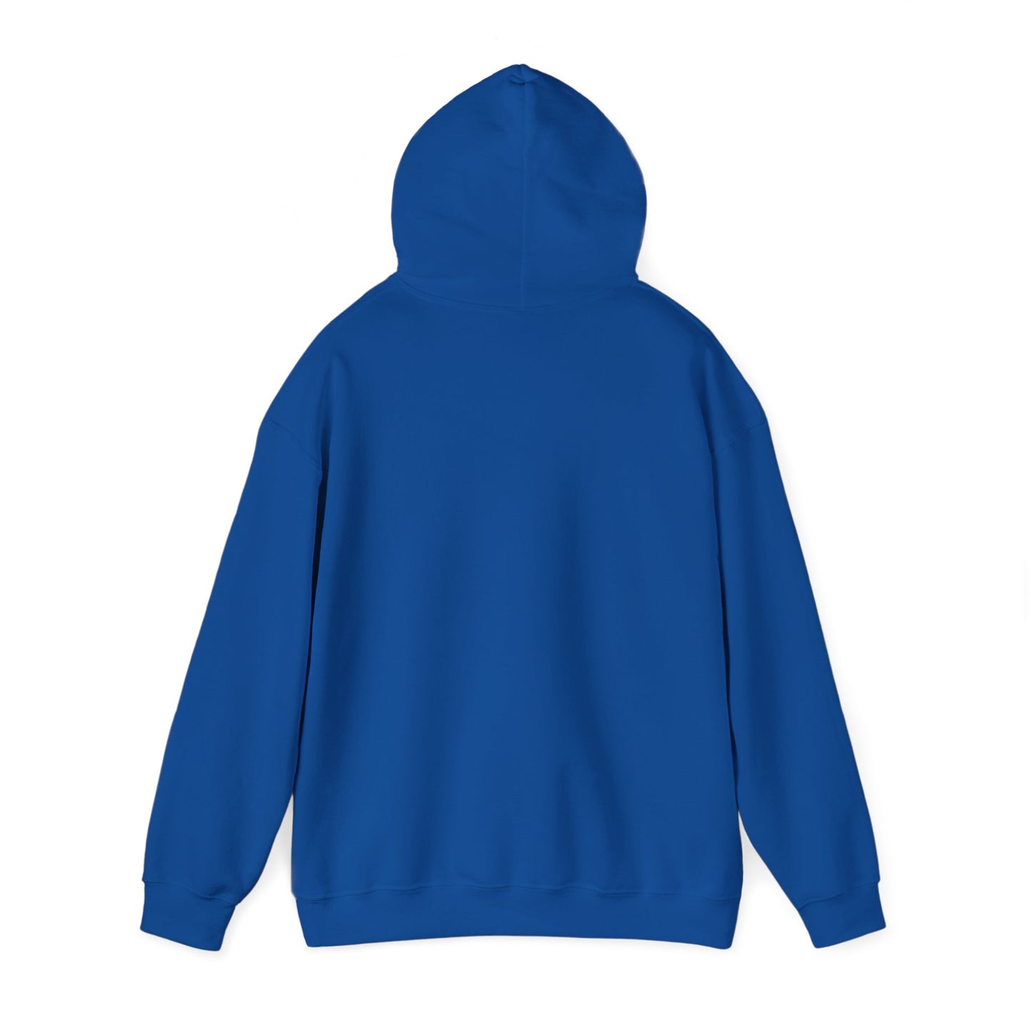 Connect with the Fountain Hooded Sweatshirt (John 14:4 - Version II)