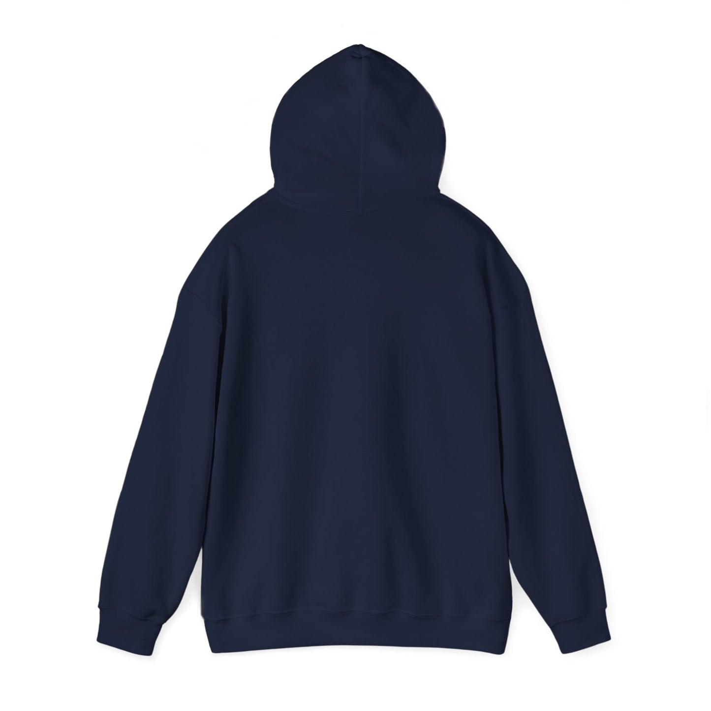 Connect with the Fountain Hooded Sweatshirt (John 4:14 - Version 1)