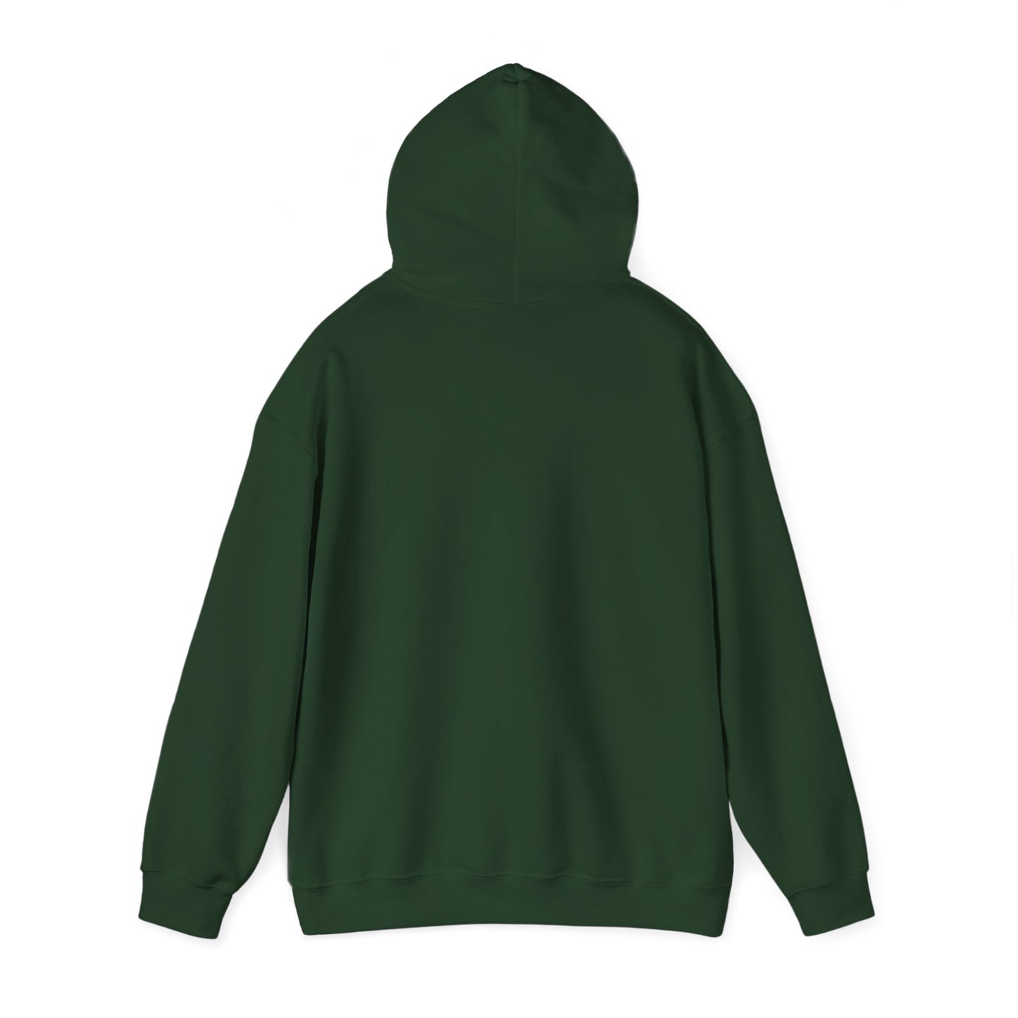 Connect with the Fountain Hooded Sweatshirt (John 4:14 - Version 1)