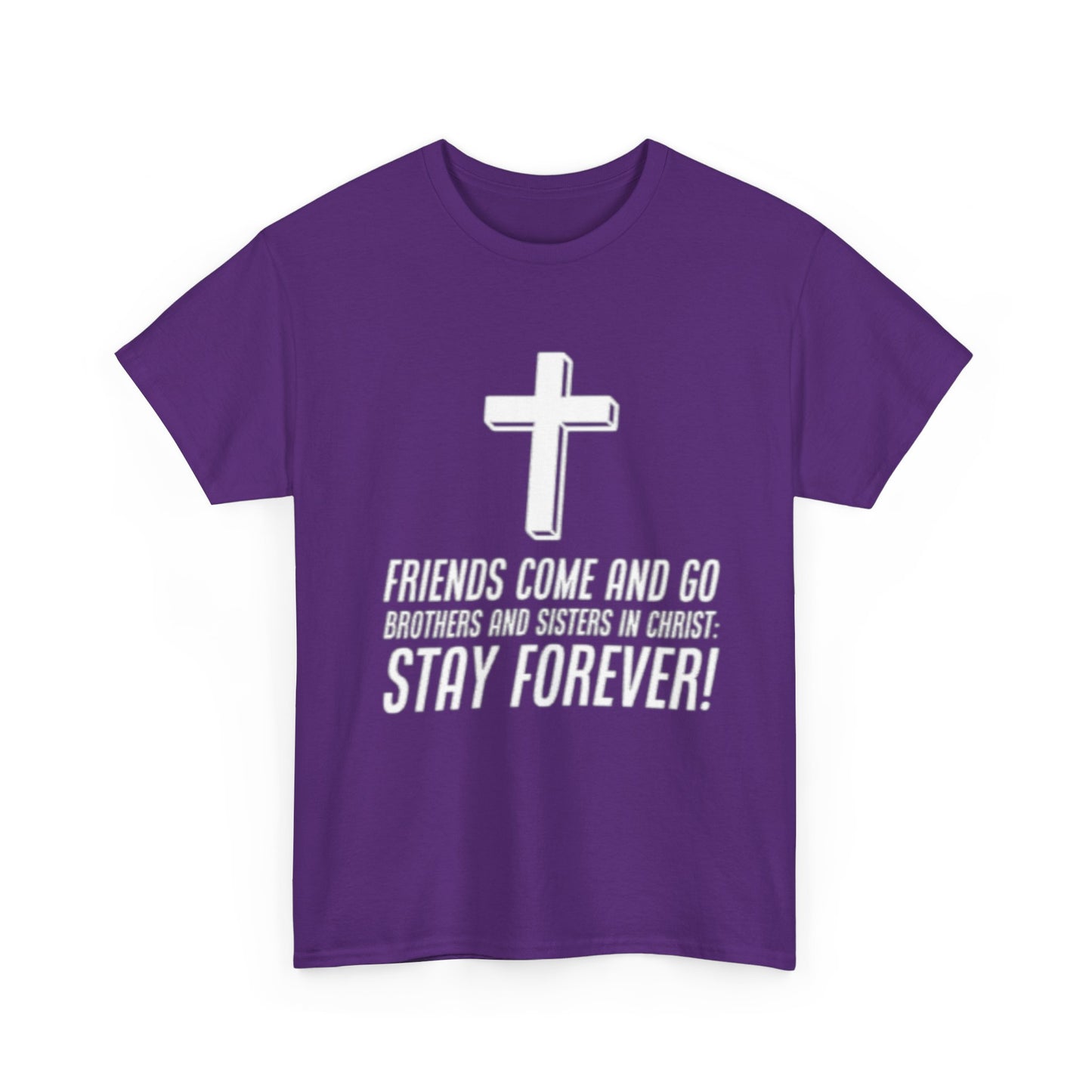 Friends Come & Go T-Shirt II