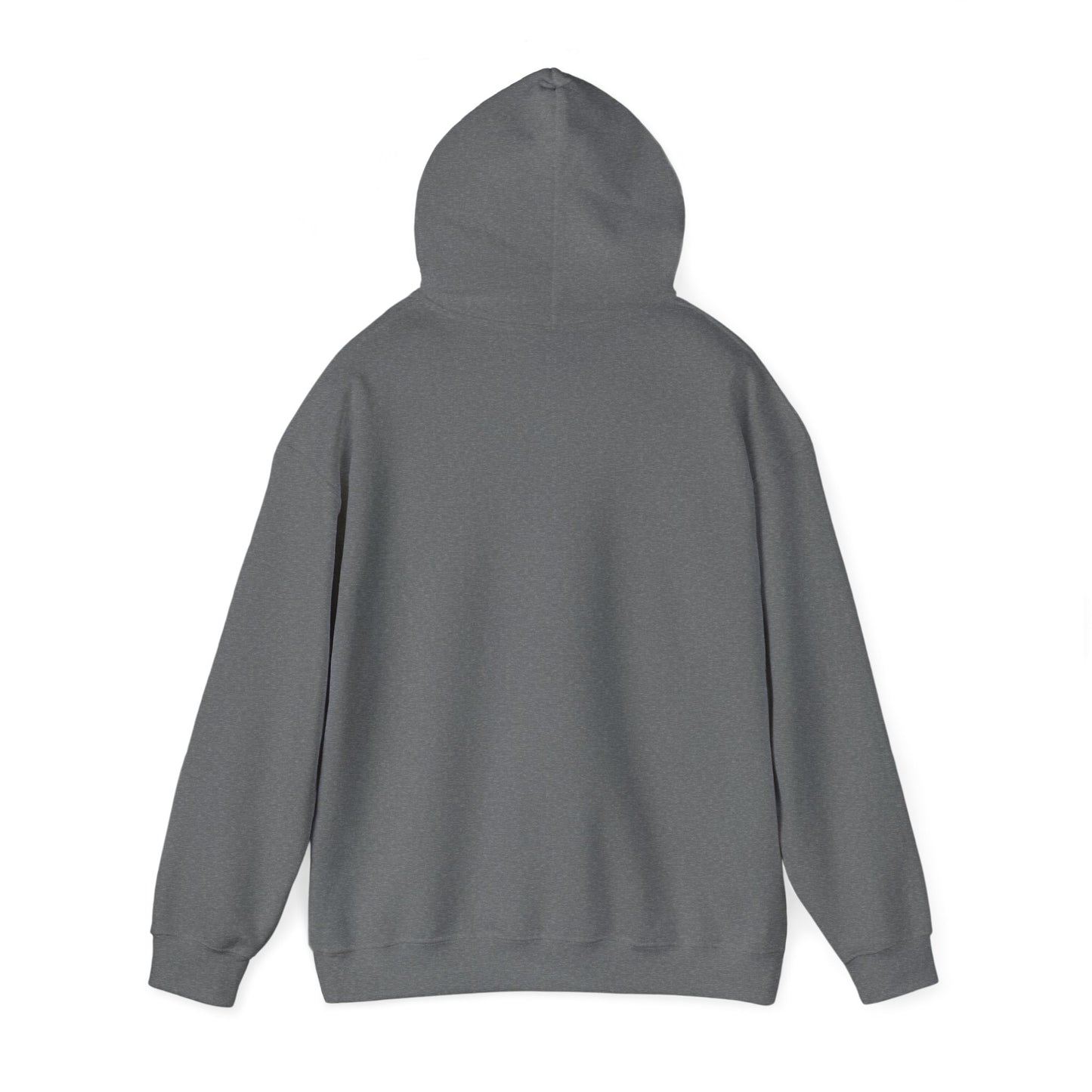 Connect with the Fountain Hooded Sweatshirt (John 14:4 - Version III)