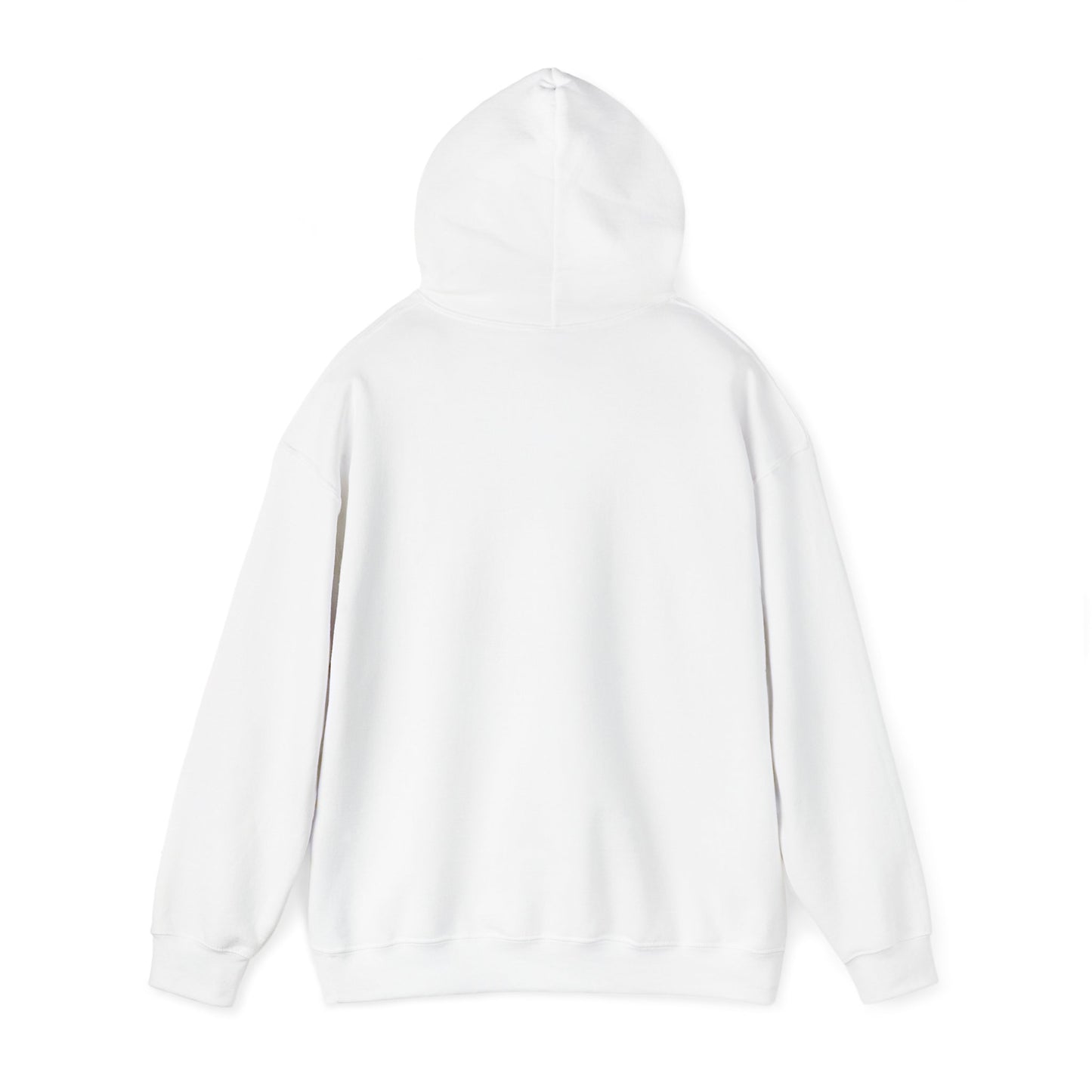 Connect with the Fountain Hooded Sweatshirt (John 14:4 - Version III)