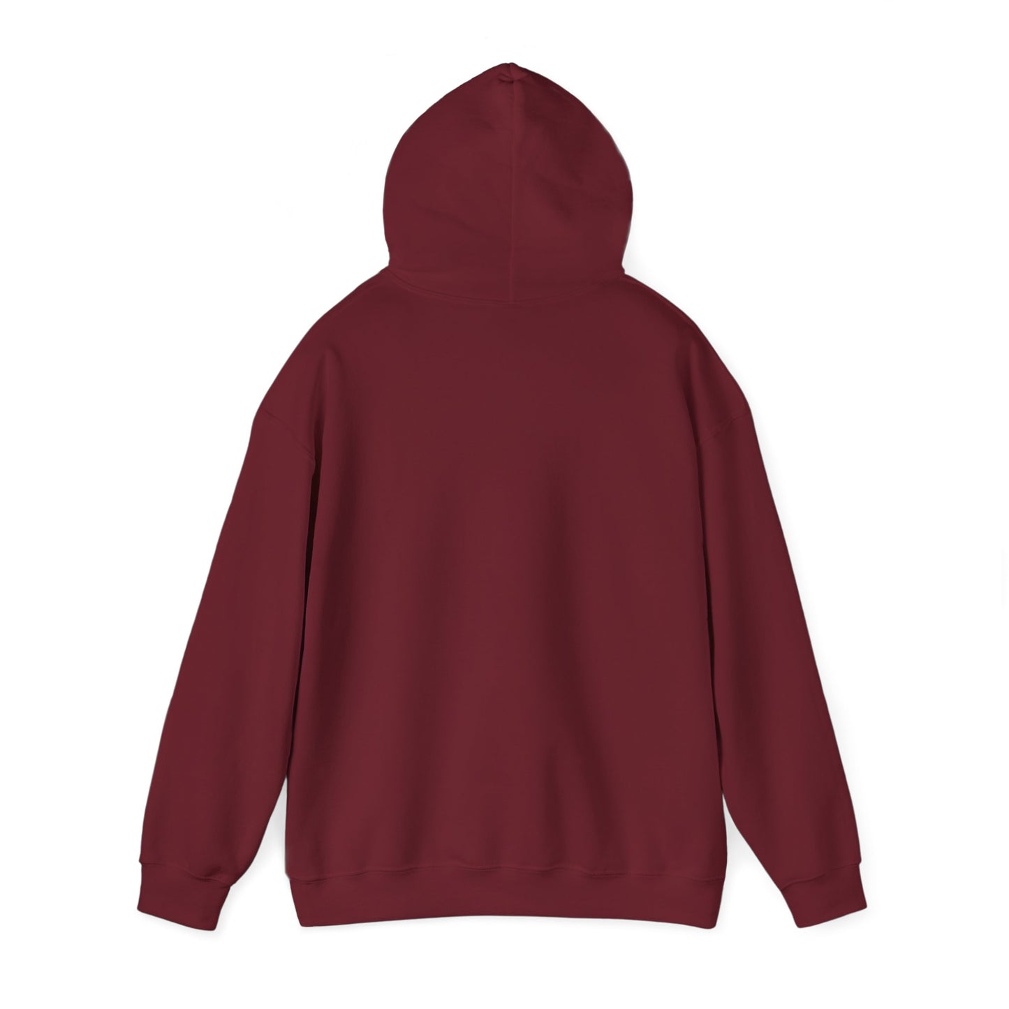 Connect with the Fountain Hooded Sweatshirt (John 14:4 - Version III)