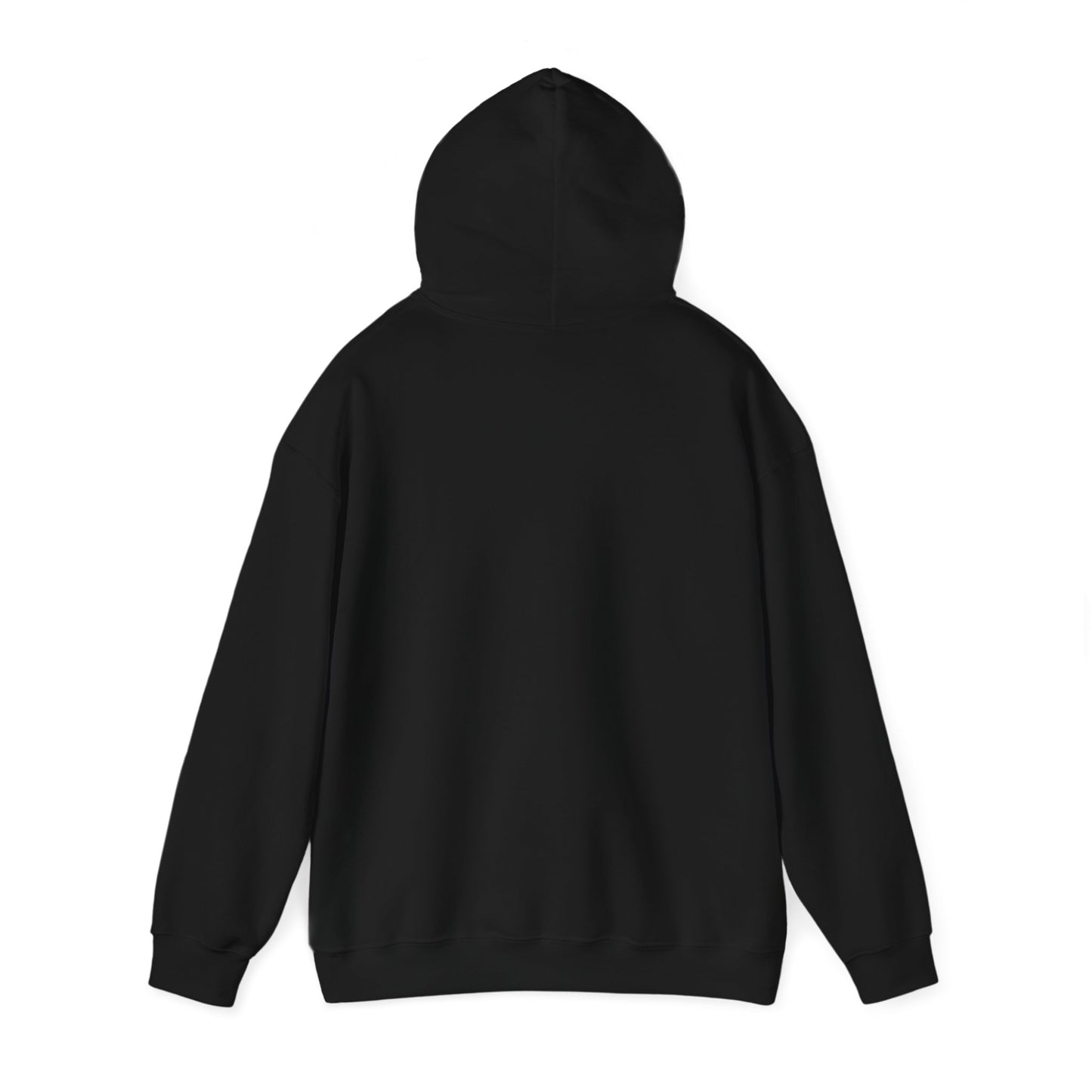 Connect with the Fountain Hooded Sweatshirt (John 14:4 - Version II)