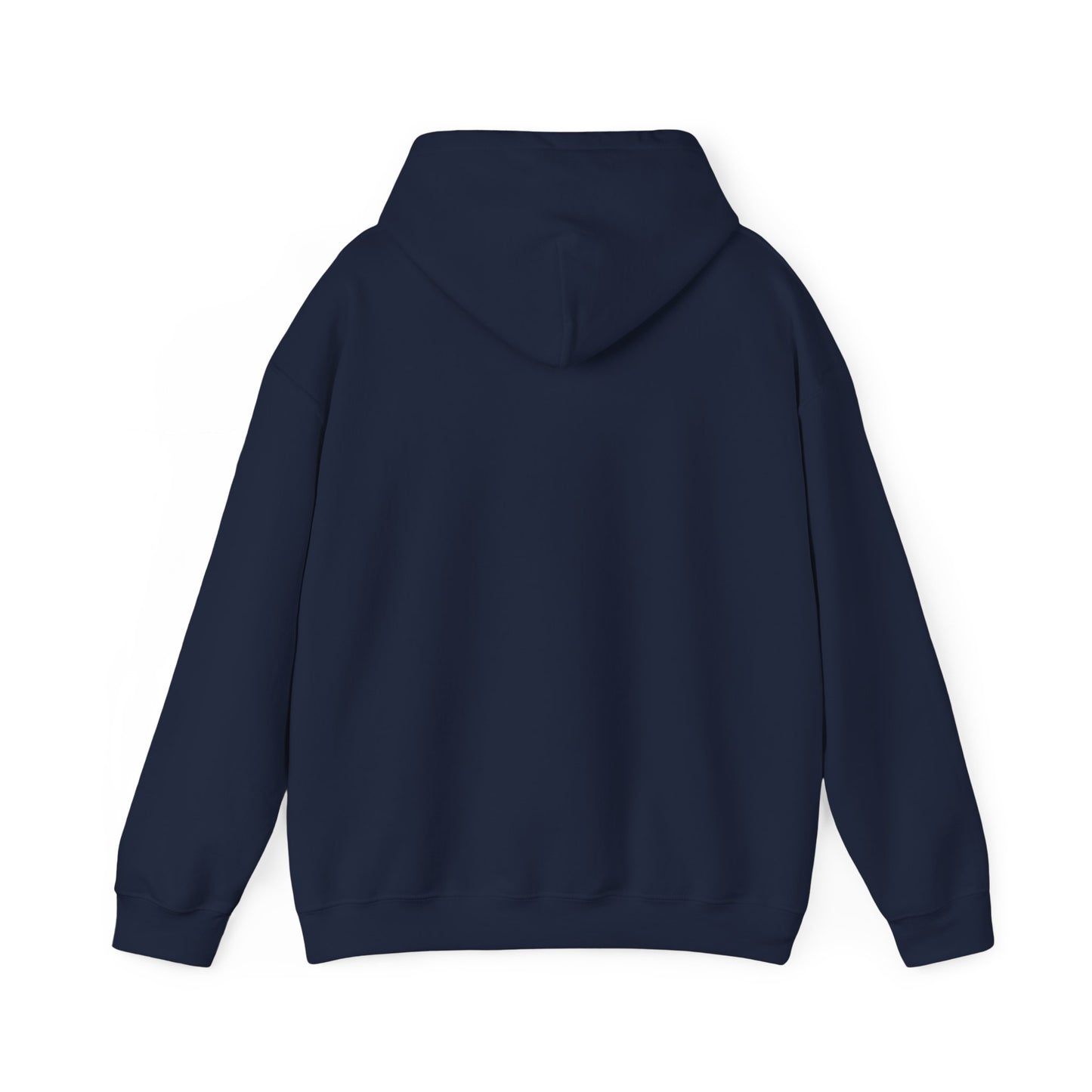 Connect with the Fountain Hooded Sweatshirt (John 4:14 - Version 1)