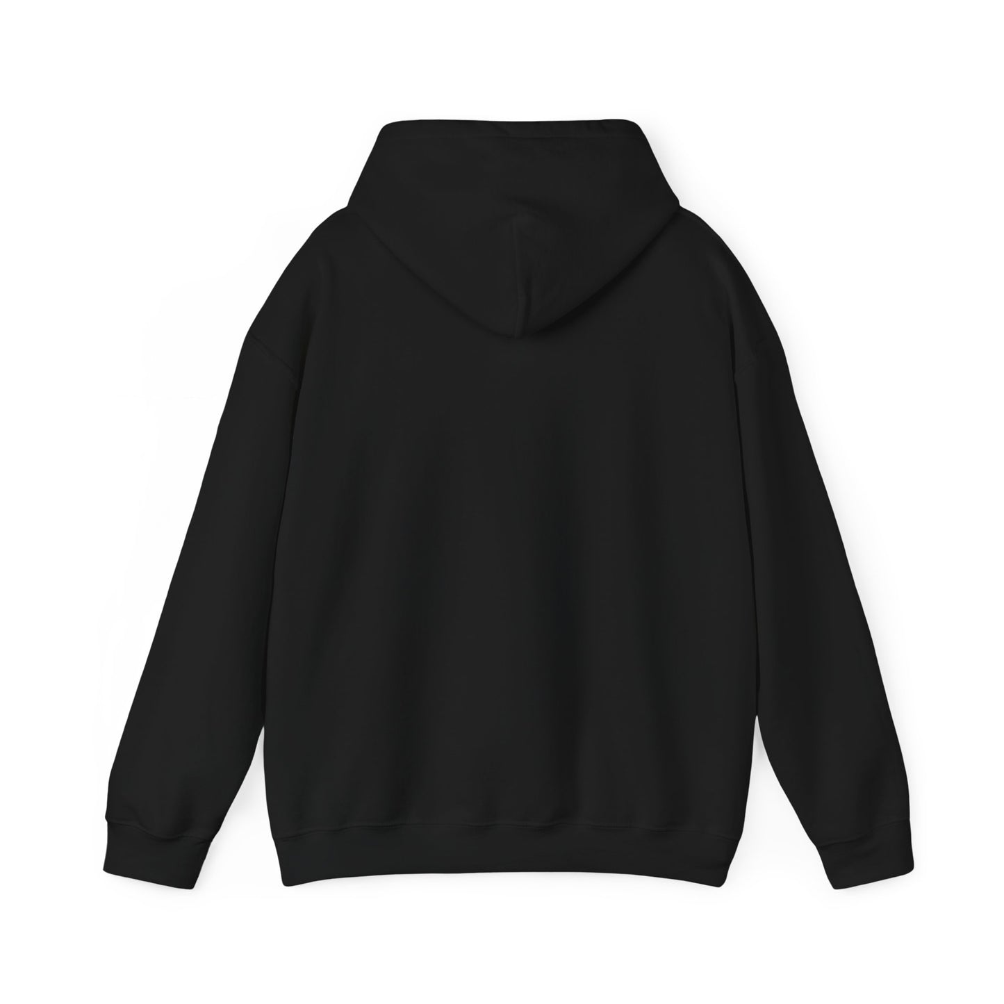 Connect with the Fountain Hooded Sweatshirt (John 14:4 - Version II)