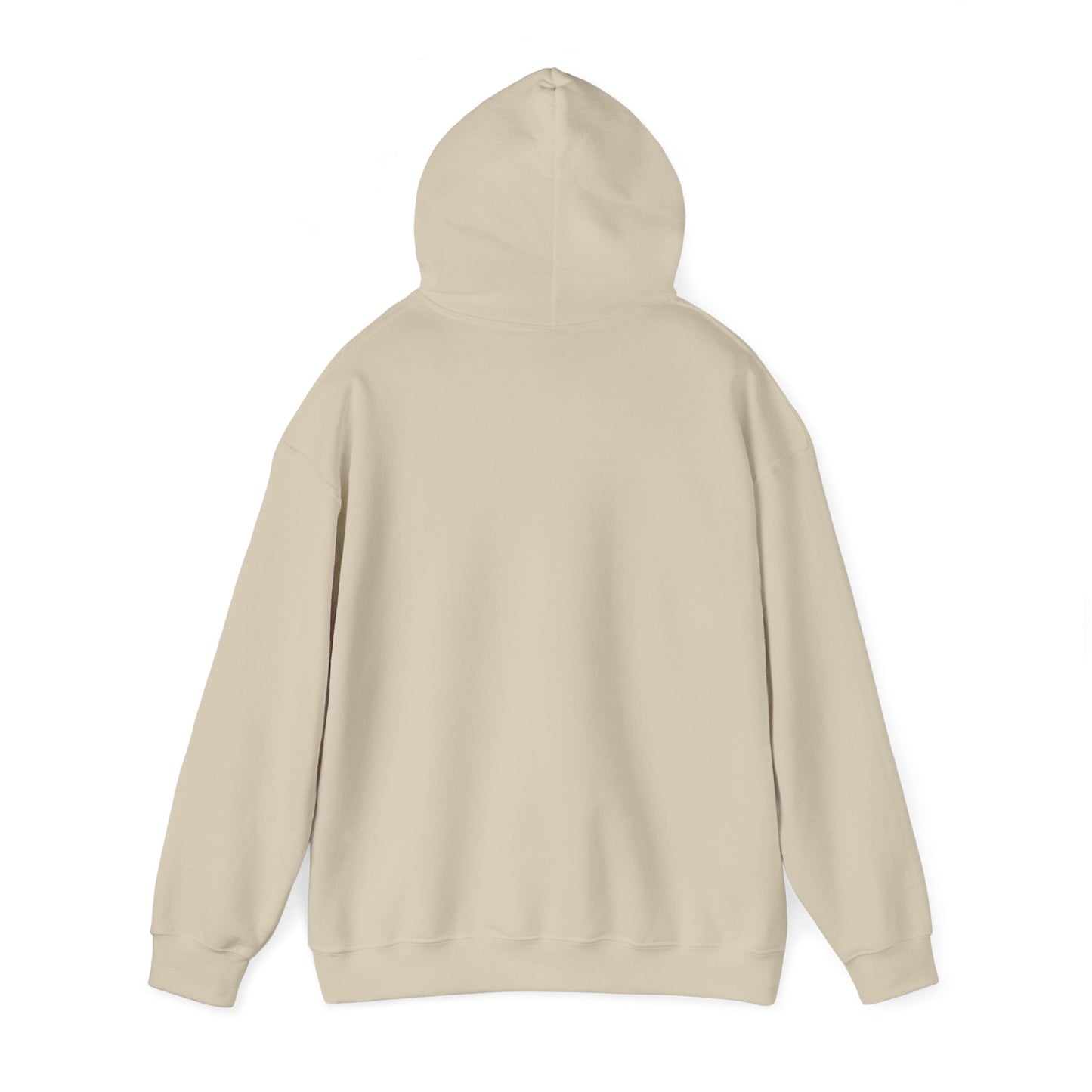 Connect with the Fountain Hooded Sweatshirt (John 14:4 - Version III)