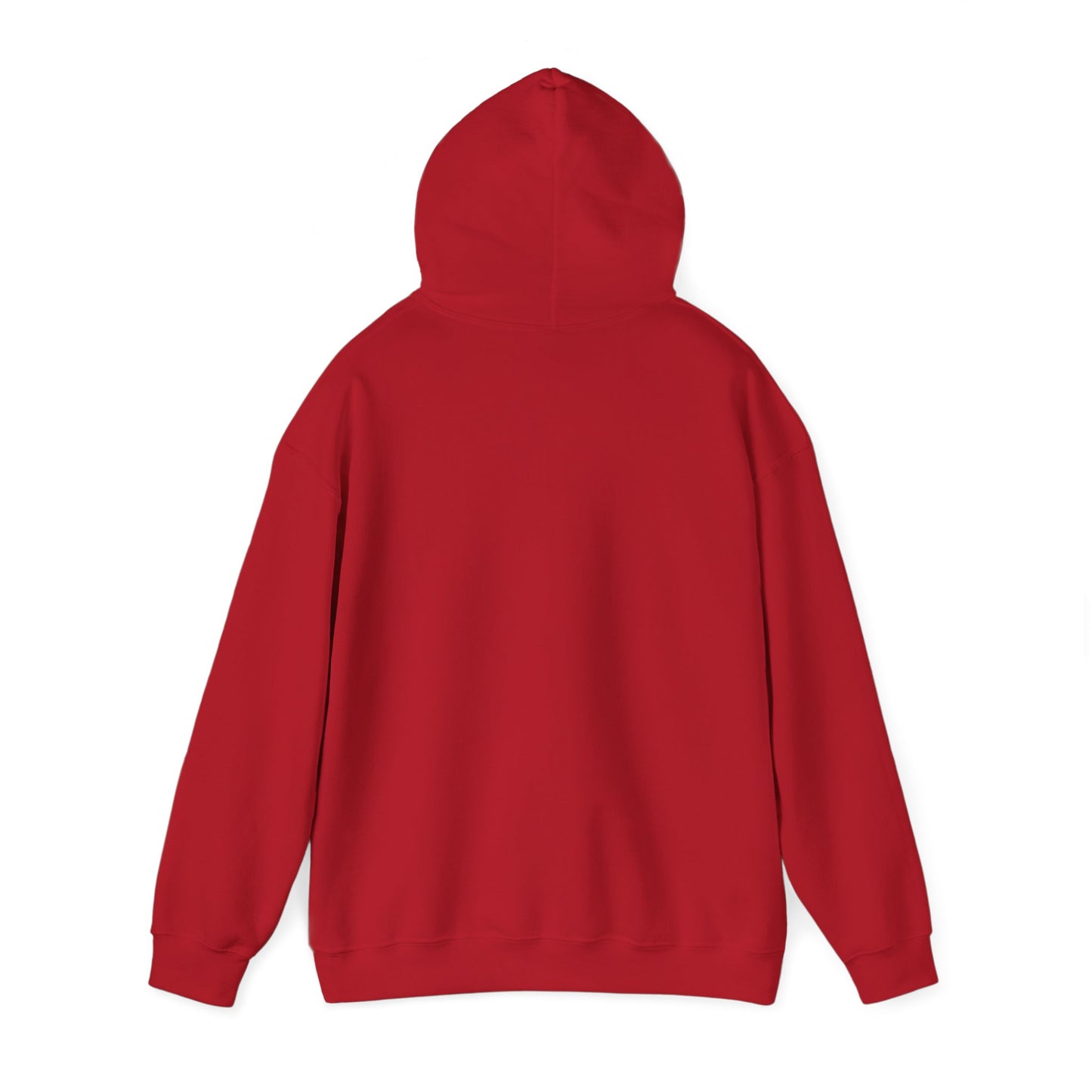 Connect with the Fountain Hooded Sweatshirt (John 14:4 - Version II)