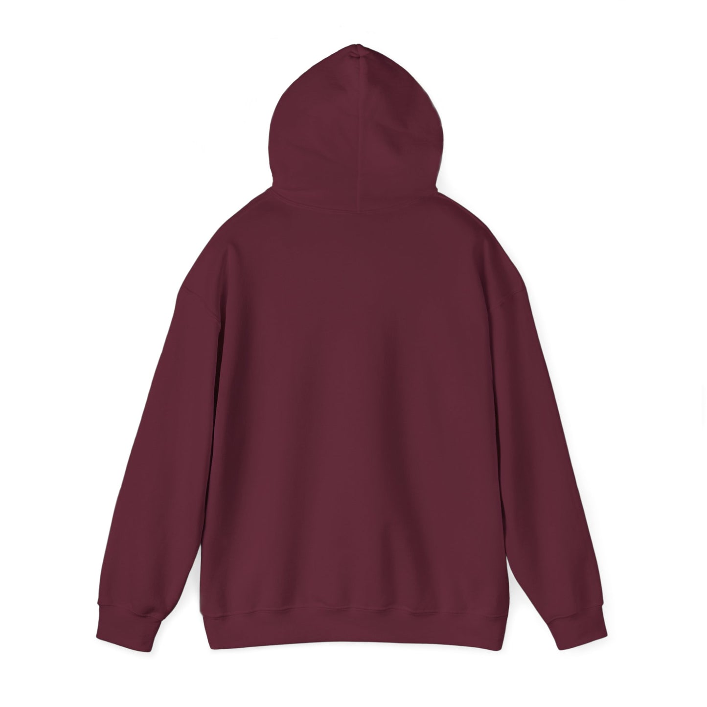 Connect with the Fountain Hooded Sweatshirt (John 4:14 - Version 1)