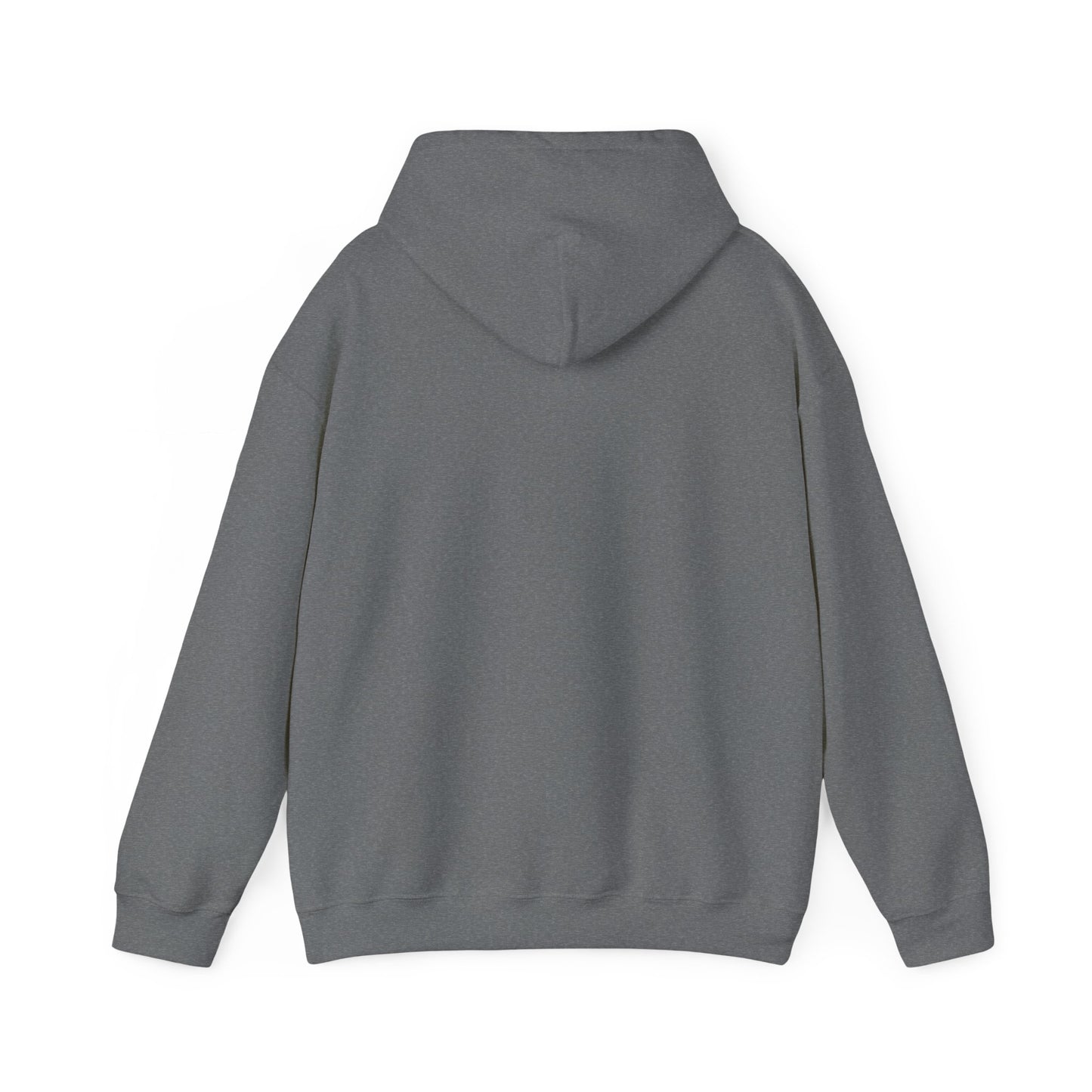 Connect with the Fountain Hooded Sweatshirt (John 14:4 - Version III)