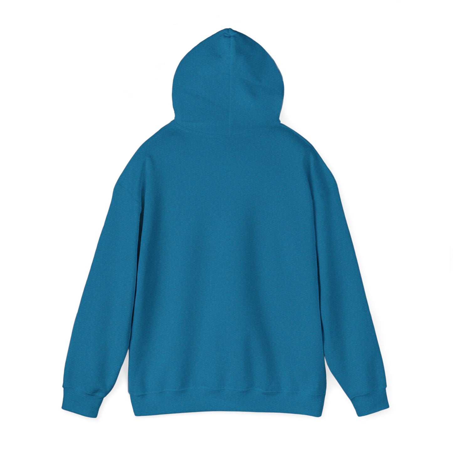 Connect with the Fountain Hooded Sweatshirt (John 14:4 - Version III)