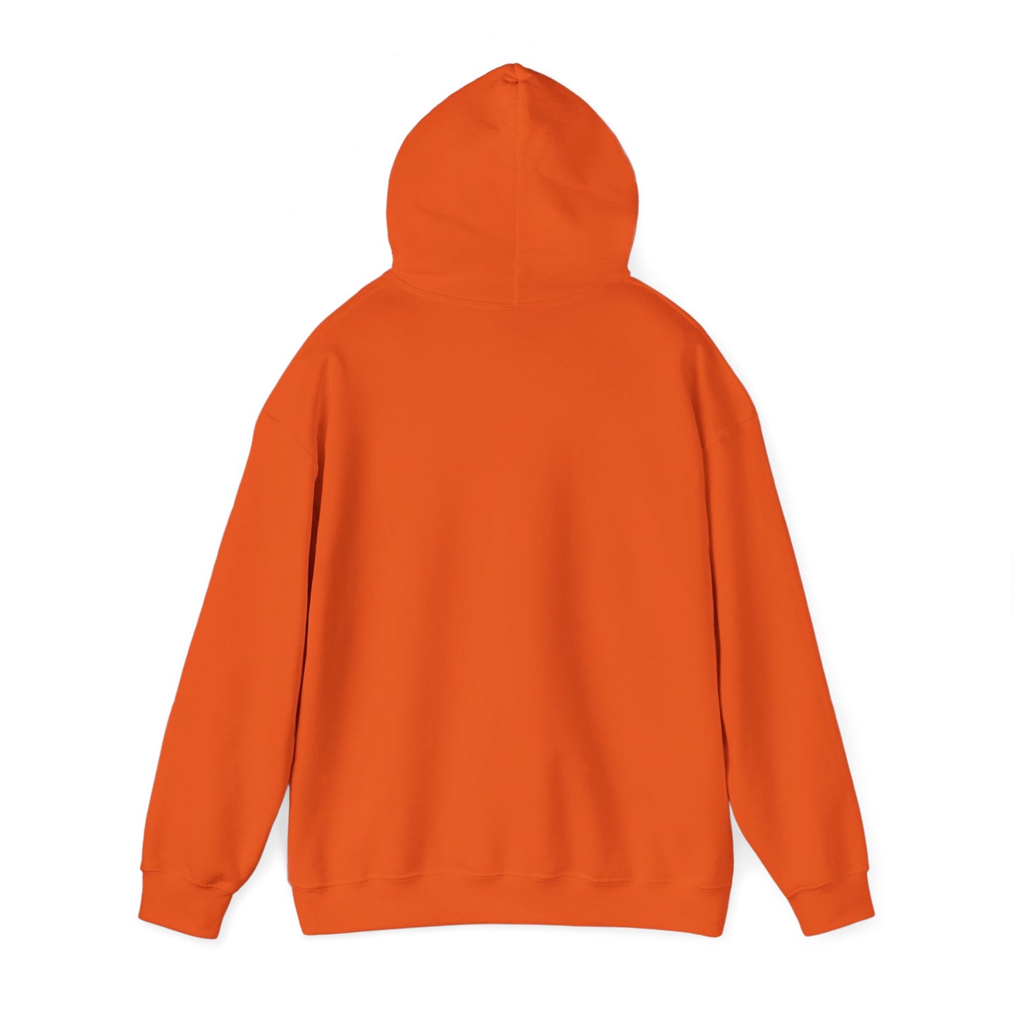 Connect with the Fountain Hooded Sweatshirt (John 14:4 - Version II)